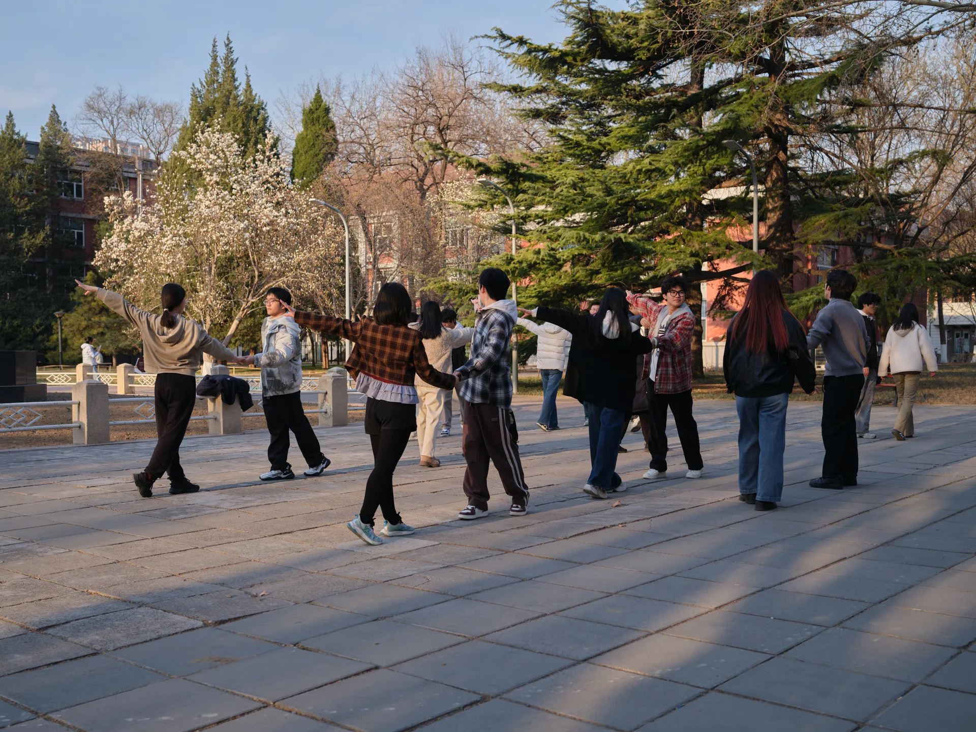 Students hand in hand under magnolia trees at dusk — Hand in Hand