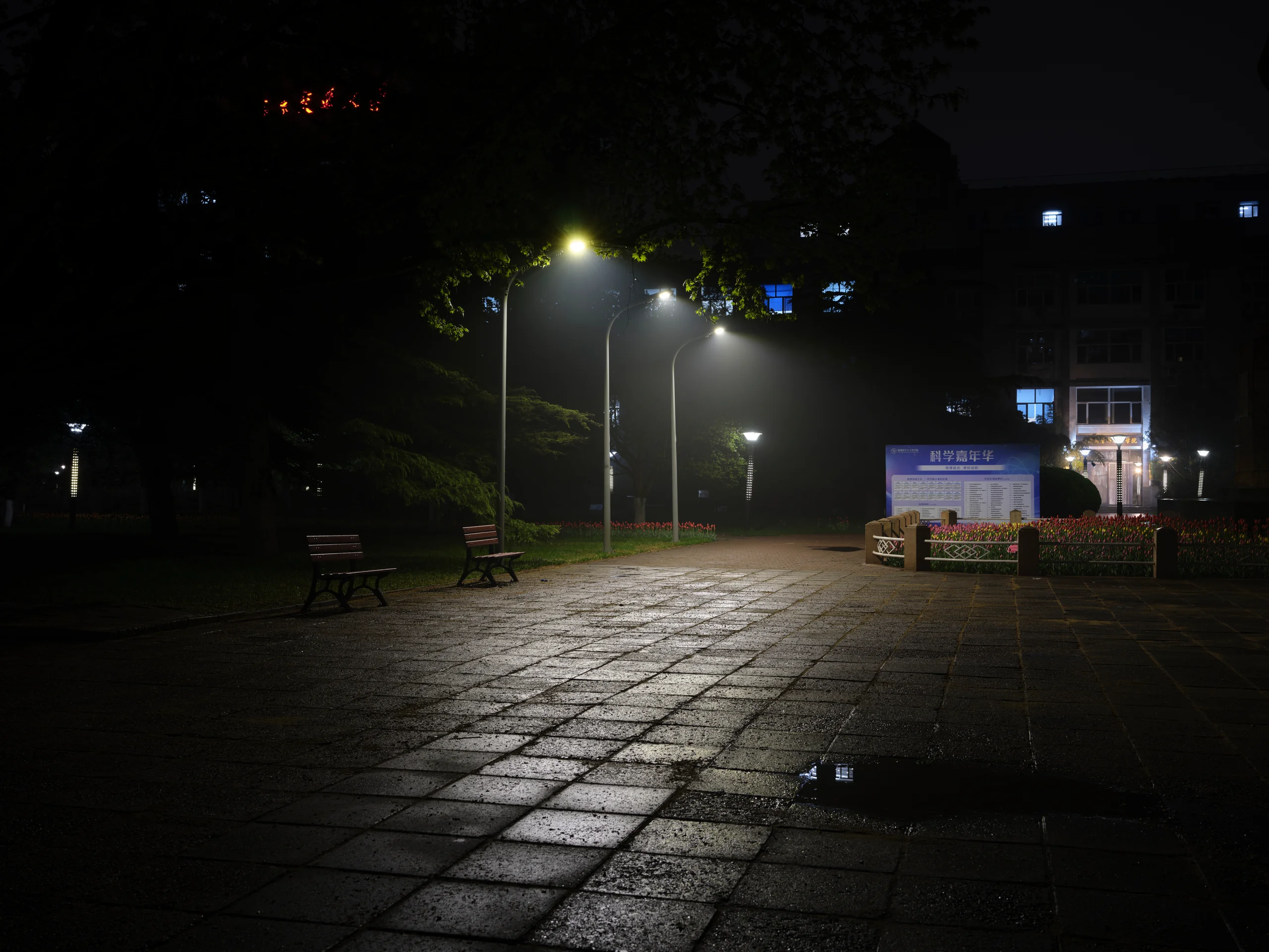 After the Streetlights Come On #5
